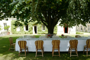 A wine-tasting table set under a tree